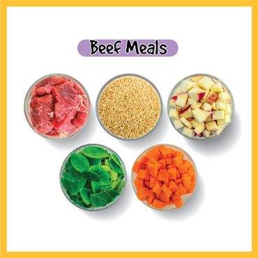 Beef Meals