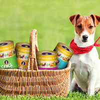 Cinderella Cake With Peanut Butter And Yogert test