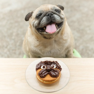 Pup-Cakes (4x25g) (Gluten-free)