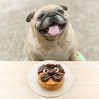 Pup-Cakes (4x25g) (Gluten-free)