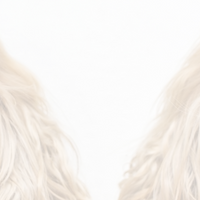 Cinderella Cake With Peanut Butter And Yogert test